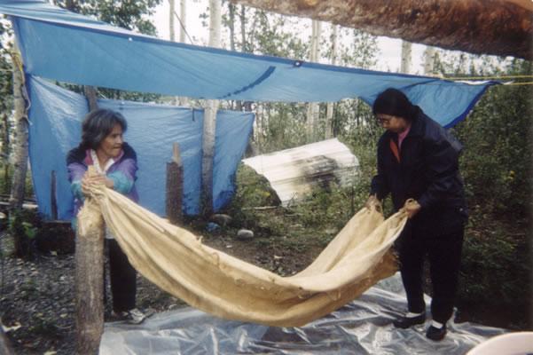 Captured 2003-9-15 00330